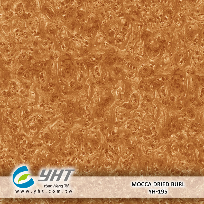 Mocca Dried Burl