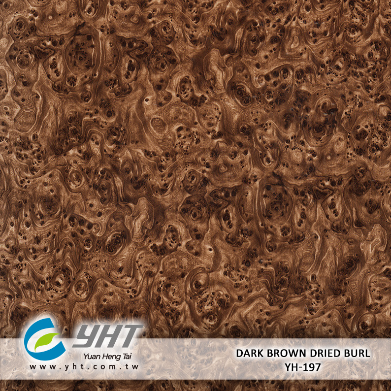 Dark Brown Dried Burl