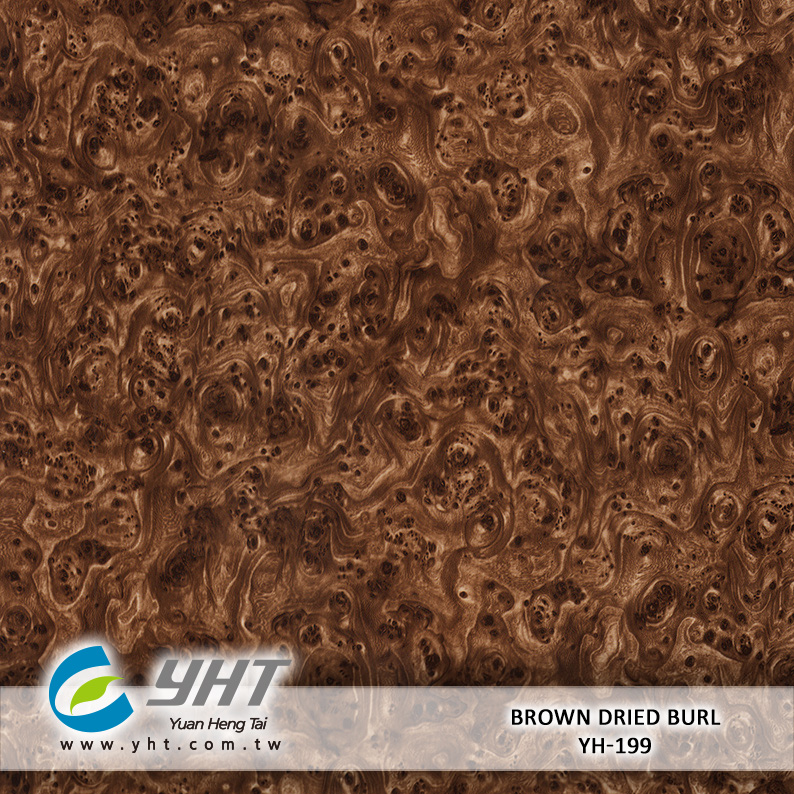 Brown Dried Burl