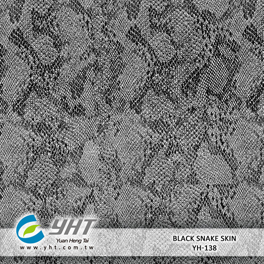Black Snake Skin