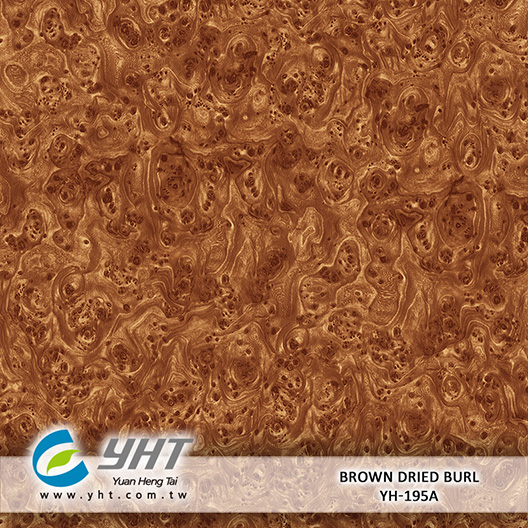 Brown Dried Burl