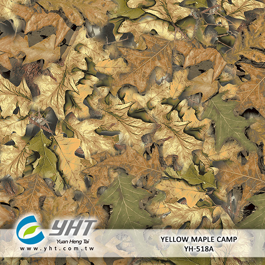 Yellow Maple Camp